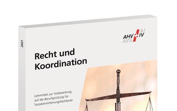Broschüre «Recht und Koordination»